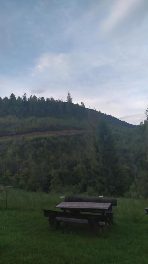 Родинна Оселя Slavske Buitenkant foto