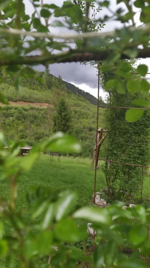 Родинна Оселя Slavske Buitenkant foto