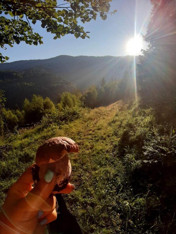 Родинна Оселя Slavske Buitenkant foto