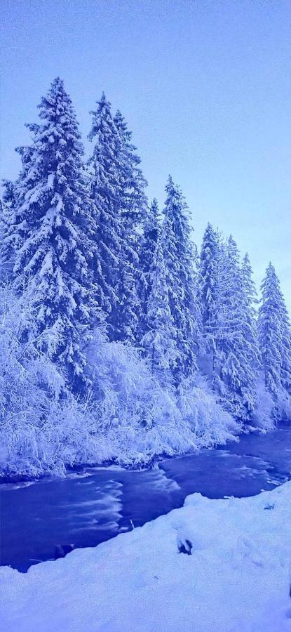 Родинна Оселя Slavske Buitenkant foto